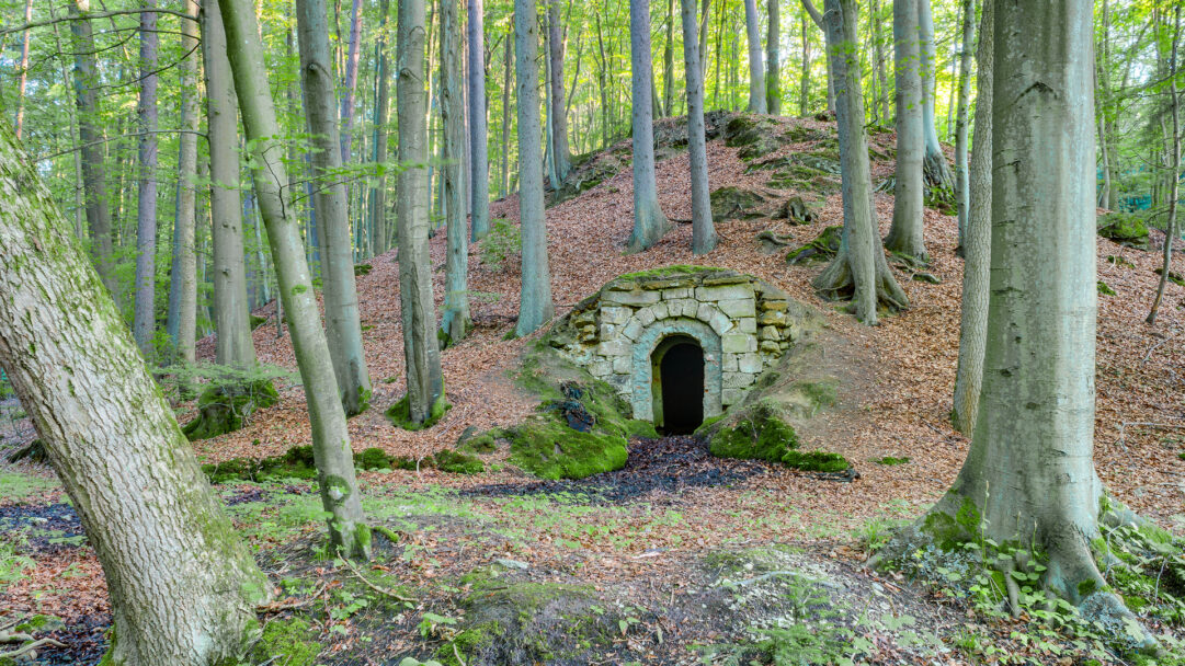 An enchanting 4K wallpaper features an old underground cellar nestled into a wooded hillside within the Bavarian Forest, Germany. Its ancient stone archway, partially covered in green moss, opens into a dark, inviting abyss, surrounded by tall, slender trees and a carpet of fallen leaves and fresh green growth, creating a serene and mystical atmosphere.
