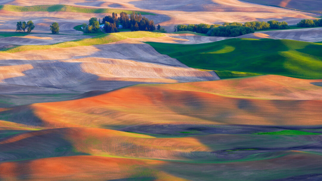 An expansive 4K wallpaper showcasing the iconic rolling hills of Palouse, Washington, covered in a mosaic of agricultural fields and distant farmsteads. Dramatic sunlight and deep shadows sweep across the contoured landscape, highlighting the rich textures and vibrant seasonal colors of green crops and golden-brown tilled earth, evoking a sense of peaceful grandeur.