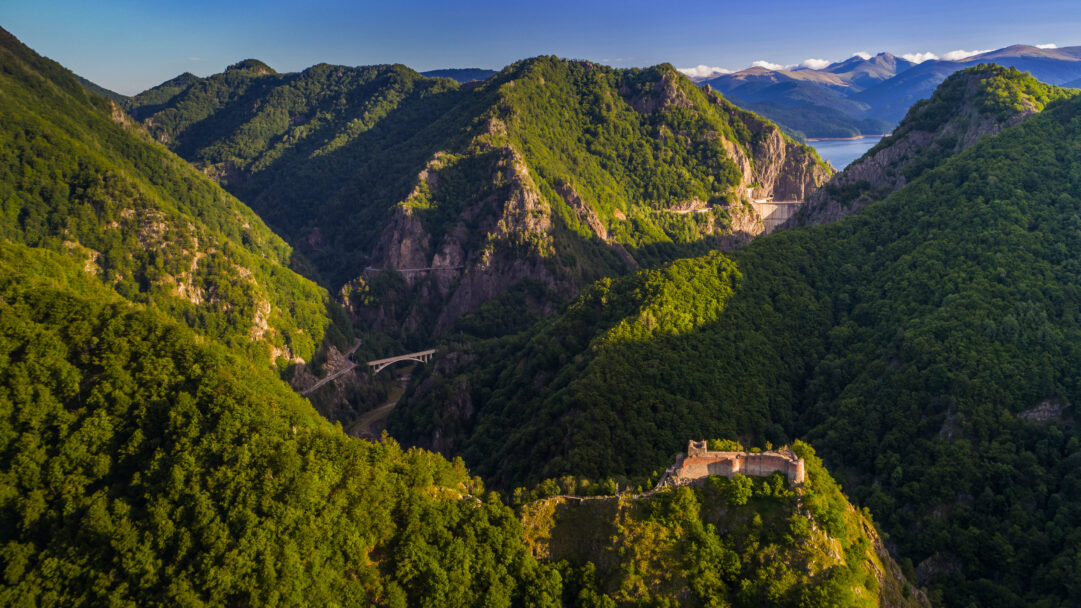 A majestic 4K wallpaper captures Poenari Castle nestled atop a rugged, tree-covered peak within the vast Făgăraș Mountains of Romania. Golden sunlight bathes the historic castle and foreground slopes, creating a dramatic interplay of light and shadow across the deep, verdant mountain landscape and distant reservoir.