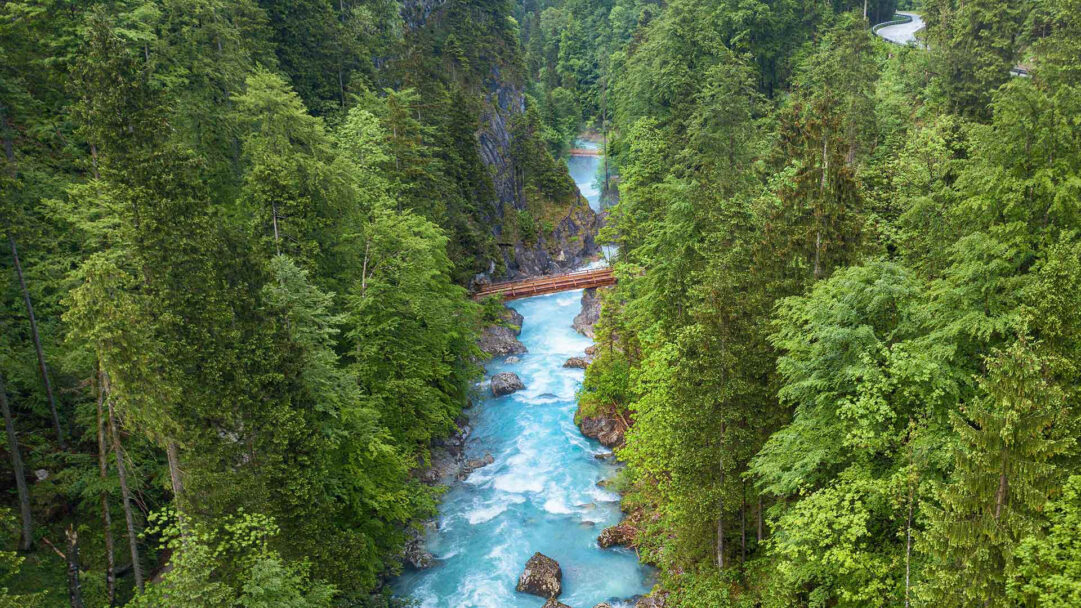 A breathtaking 4K wallpaper presenting the Steyr River flowing through a deep gorge in an Austrian forest landscape, spanned by a rustic wooden bridge. The river's vivid turquoise water, with its foamy rapids, dramatically contrasts with the rich, verdant hues of the surrounding dense woodland and rugged cliffs.