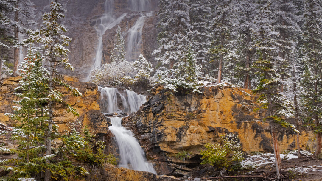 A breathtaking 4K wallpaper capturing Tangle Creek Falls cascading through a snow-covered winter landscape in Jasper National Park, Alberta, Canada. Silky white water tumbles over rugged, golden-brown rock formations, flanked by dark green pine trees heavy with fresh white snow, creating a serene yet powerful winter scene.