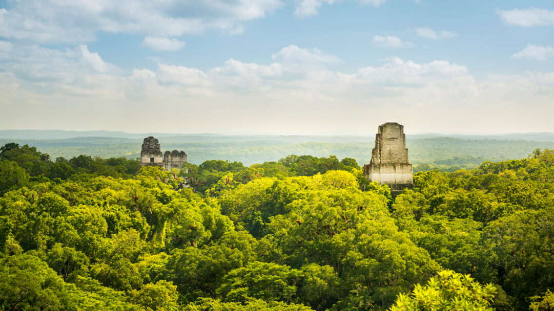 A breathtaking 4K wallpaper captures the majestic Tikal Mayan Ruins rising above the dense, verdant jungle landscape of Guatemala. The ancient stone temples pierce through the vibrant green canopy under a bright blue sky dotted with soft white clouds, evoking a sense of ancient mystery and natural splendor.