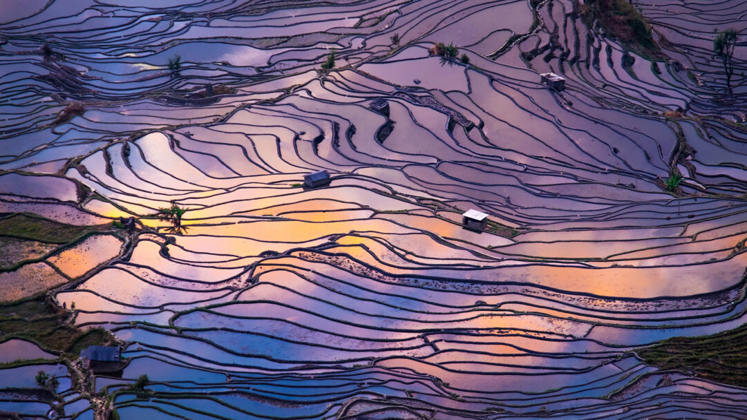 A breathtaking 4K wallpaper showcasing the iconic terraced rice fields of Yuanyang, China, filled with water under a vast sky. The intricate, water-filled terraces beautifully mirror the vivid hues of a sunset, painting the landscape with mesmerizing reflections of purple, orange, and soft pink.