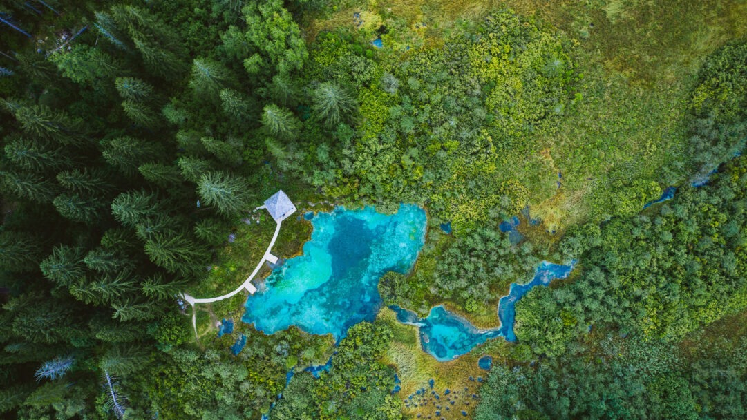 A breathtaking 4K wallpaper capturing the Zelenci Nature Reserve in Slovenia from an aerial perspective, featuring a vibrant turquoise lake nestled amidst a dense forest. Its brilliantly clear, turquoise waters meander through lush greenery, creating a serene and captivating natural landscape.