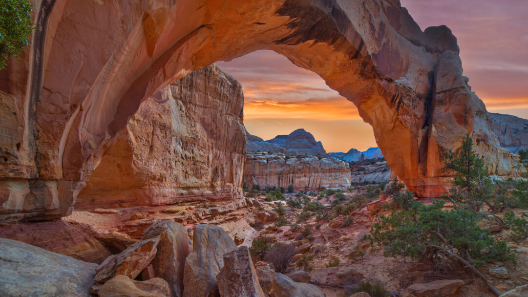 A breathtaking 4K wallpaper captures the magnificent Hickman Bridge natural sandstone arch in Capitol Reef National Park, Utah, framing a dramatic desert landscape beyond. The warm, reddish glow of the sunset permeates the towering arch and illuminates the distant white rock formations against a vibrant orange and pink sky.