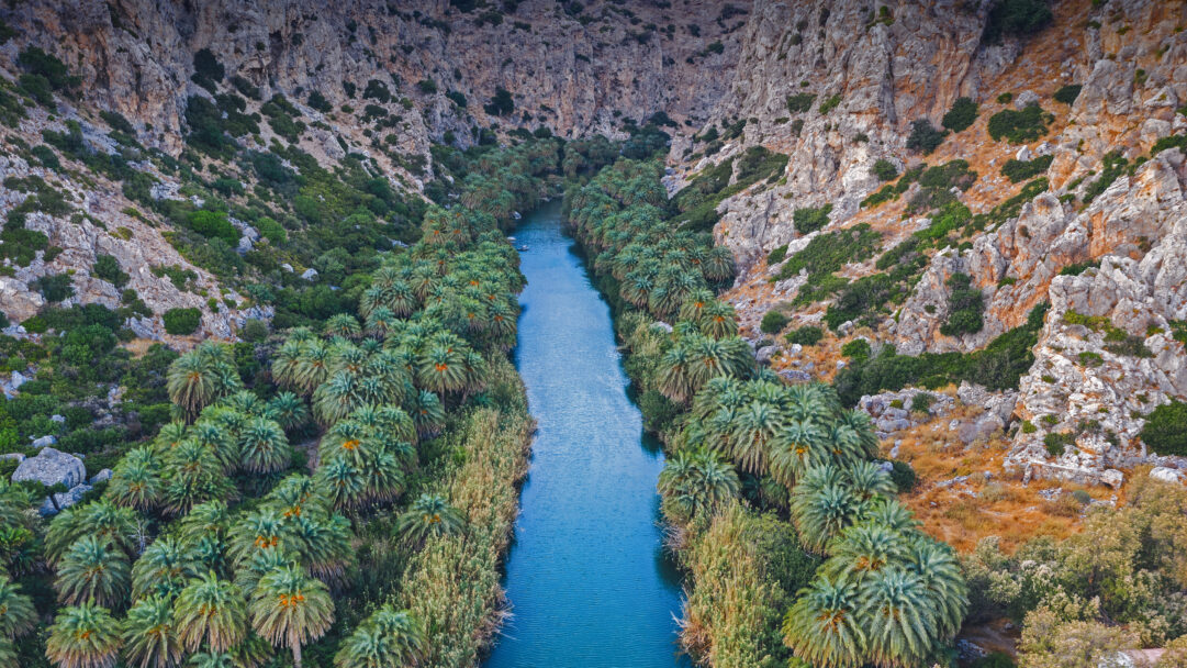 A magnificent 4K wallpaper showcasing the iconic Preveli Gorge River and its vibrant palm forest, nestled deep within the rugged landscape of Crete, Greece. The river's brilliant turquoise waters carve a path through the dense, bright green canopy of palm trees, contrasting with the warm, sun-baked textures of the towering gorge walls.