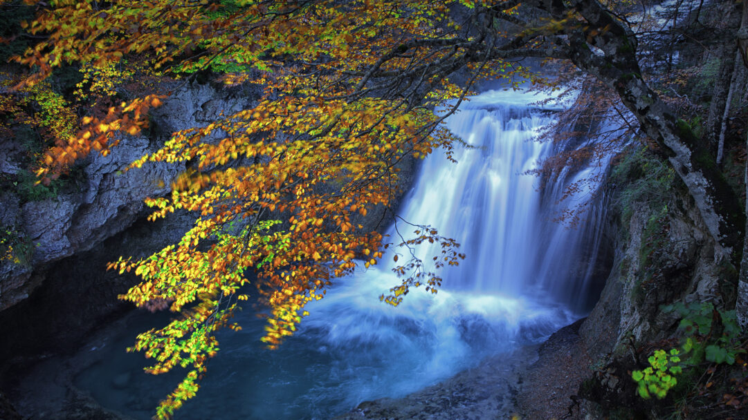 An enchanting 4K wallpaper captures the powerful Río Arazas Waterfall cascading through the rugged Ordesa Pyrenees in full autumn splendor. The long exposure renders the waterfall's rushing waters into a silky blue mist, dramatically contrasted by the vibrant gold and orange autumn foliage framing its descent.