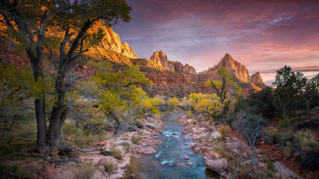 An awe-inspiring 4K wallpaper captures the Virgin River winding through Zion National Park, Utah, surrounded by towering sandstone cliffs. The dramatic sunset bathes the majestic red rock formations in warm golden light while the sky above glows with ethereal shades of purple and orange, creating a breathtaking and tranquil scene.