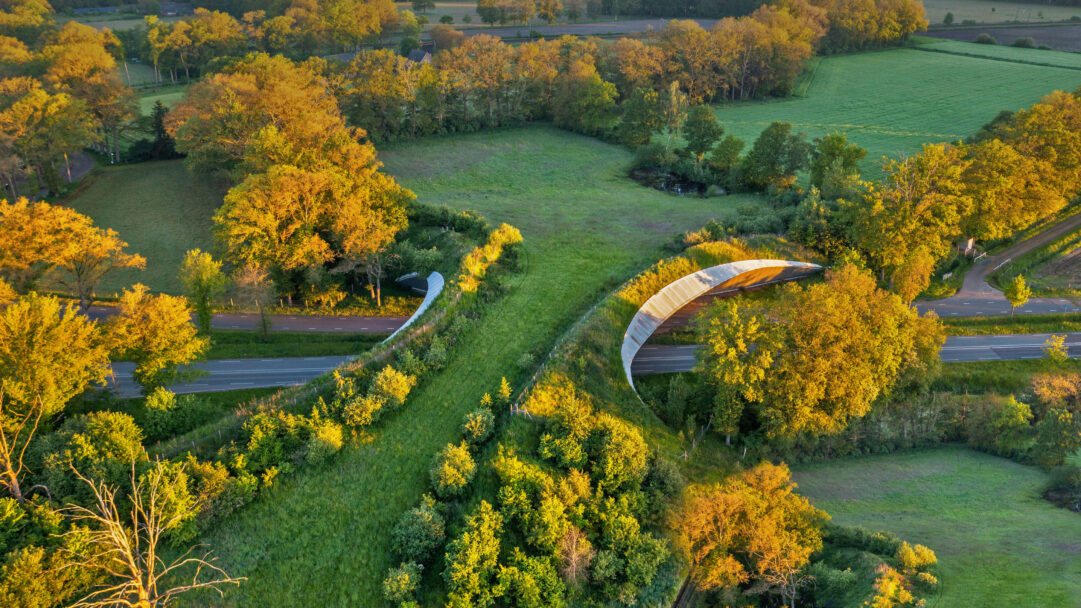 A breathtaking 4K wallpaper showcasing a verdant wildlife crossing arching over a road in the rural Wierden, Netherlands. The warm, golden hour light bathes the lush foliage of the expansive landscape, highlighting the sleek, modern curve of the crossing and infusing the scene with a serene glow.