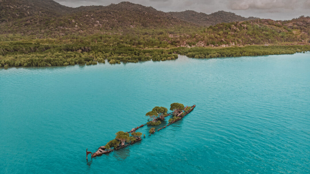 A magnificent 4K wallpaper capturing an aerial view of the City of Adelaide shipwreck, with vibrant trees growing from its rusted hull, nestled in clear turquoise ocean waters beside a lush green coastline. The striking contrast between the vivid green foliage and the rusted ship's frame against the brilliant cyan sea creates a captivating scene of nature reclaiming history.
