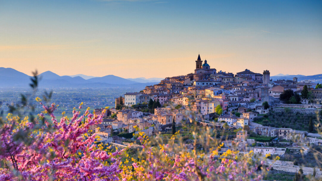 A picturesque 4K wallpaper showcasing the historic hilltop town of Trevi in Umbria, Italy, viewed from a vantage point framed by vibrant almond blossoms. Warm golden light illuminates the ancient buildings and colorful blossoms, creating a serene and timeless atmosphere against the soft blue haze of distant mountains.