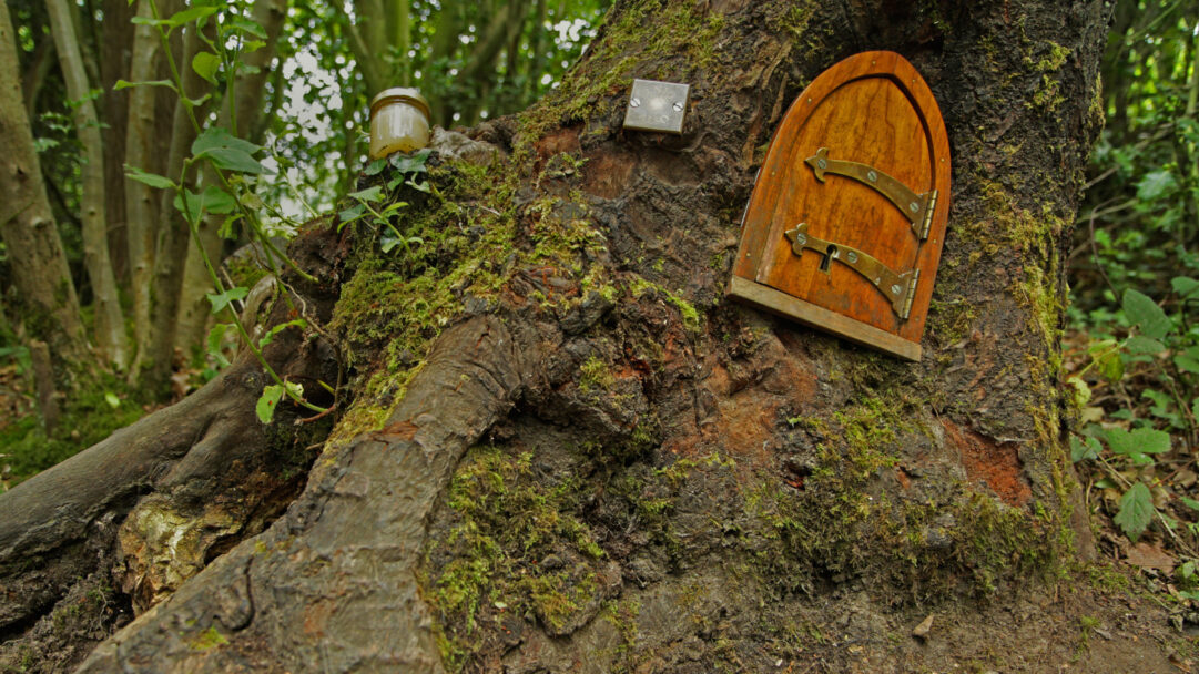An enchanting 4K wallpaper captures a whimsical Ashdown Forest Winnie-the-Pooh tree, featuring a tiny wooden fairy door and a small honey jar nestled into its mossy bark. The rustic door with brass details and the golden-hued honey jar sitting on a verdant cushion of moss create a magical, inviting sense of childhood wonder.