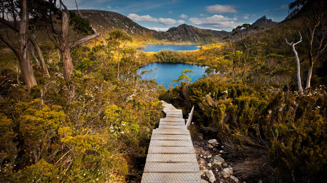 A breathtaking 4K wallpaper captures a wooden boardwalk path descending through vibrant golden and green scrubland within Cradle Mountain-Lake St. Clair National Park, Tasmania, leading towards two clear blue lakes nestled amidst ancient mountains. The serene scene is defined by the striking contrast of the vivid blue lakes and the glowing golden and russet vegetation, all bathed in clear sunlight under a dynamic sky.