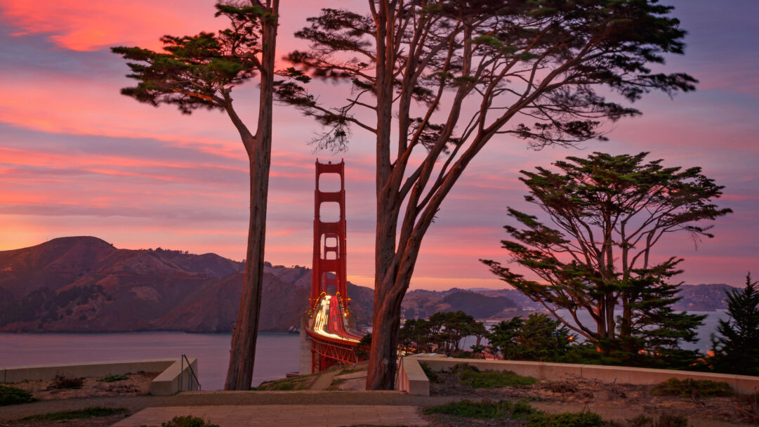 An iconic 4K wallpaper presenting the Golden Gate Bridge at sunset, framed by prominent foreground trees with the Marin Headlands extending in the distance. The sky glows with a breathtaking palette of pink and purple, illuminated by the bridge's warm lights and the striking trails of vehicle headlights.