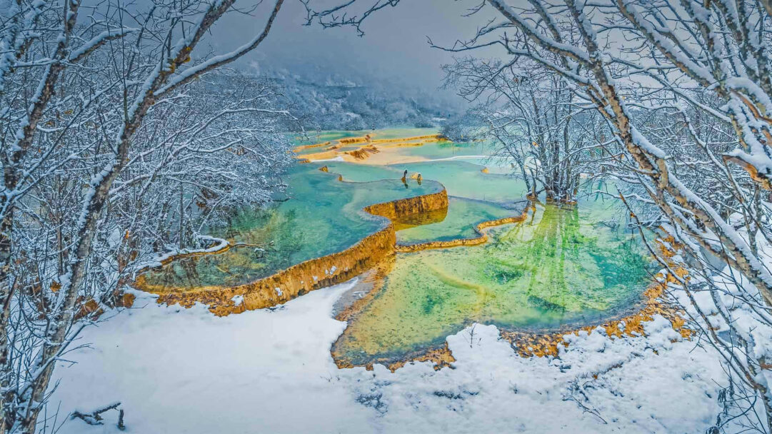 A mesmerizing 4K wallpaper showcasing the Huanglong Scenic Area's terraced pools in China during winter, blanketed in snow. The vivid turquoise and emerald waters of the pools shimmer against the golden mineral deposits and surrounding white snow-covered trees, creating a breathtaking contrast.