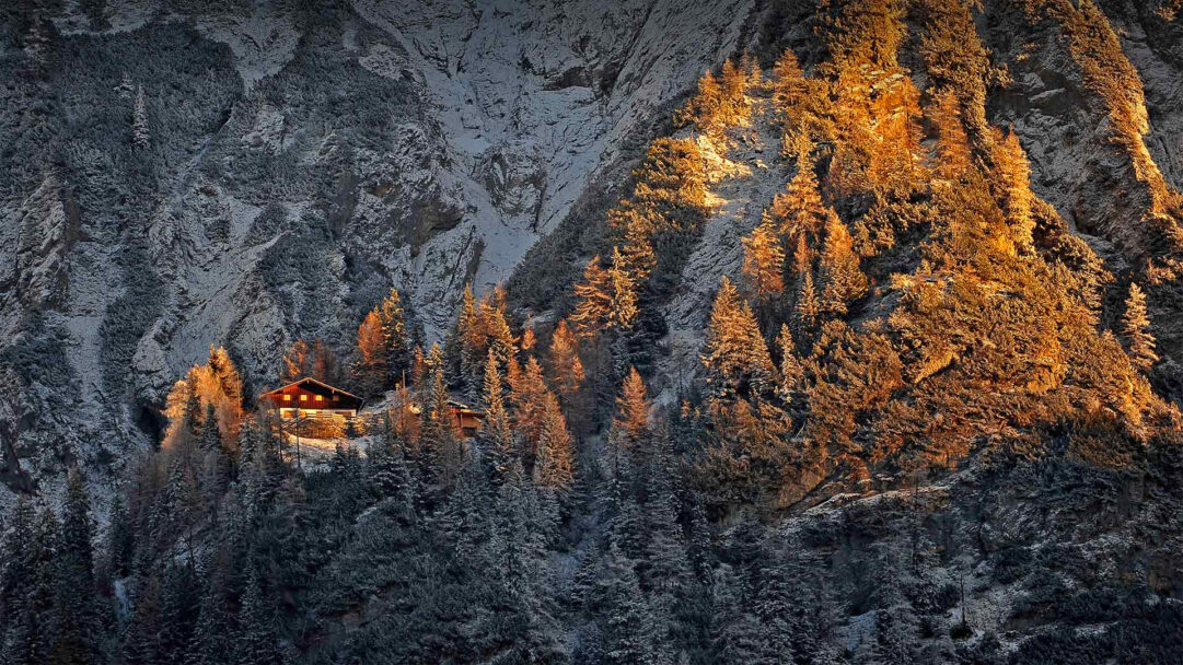 An enchanting 4K wallpaper depicts the Mittenwalder Hütte, a cozy snowy cabin nestled amongst pine trees on a rugged mountainside in the Bavarian Alps of Germany. Golden sunlight brilliantly illuminates the cabin's warm, glowing windows and a patch of snow-dusted evergreen trees, creating a vivid contrast against the deep blue shadows of the surrounding wintry landscape.