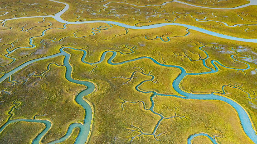 A breathtaking 4K wallpaper showcases an aerial view of Mockhorn Island's extensive marshland, intricately cut by numerous meandering tidal channels. The vibrant golden-green marsh grasses form a stunning organic tapestry, beautifully contrasted by the luminous turquoise waters winding through them.