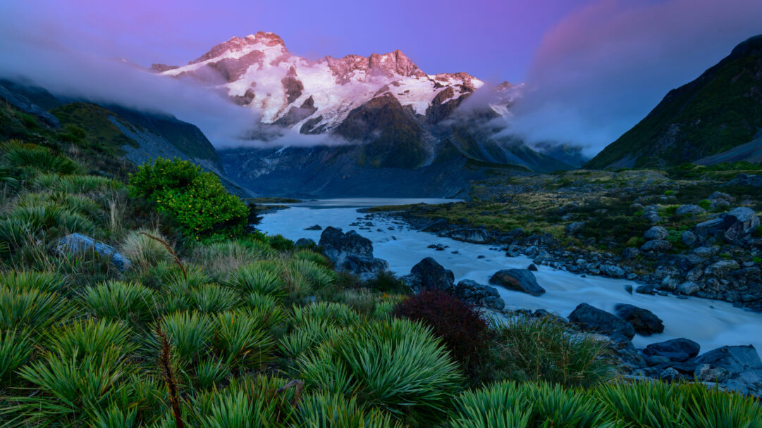 A majestic 4K wallpaper displays Mount Sefton, a snowcapped mountain, rising dramatically above a glacial river winding through Aoraki Mount Cook National Park. The peak glows with soft pink light against a twilight sky, while the blurred, milky blue river flows past dark green foliage, creating a serene and powerful landscape.