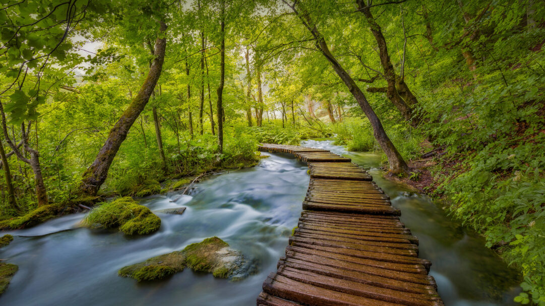 An immersive 4K wallpaper captures the captivating beauty of Plitvice Lakes National Park in Croatia, where a wooden boardwalk gracefully meanders beside a serene forest river. The long-exposure effect transforms the flowing water into a misty turquoise ribbon, harmonizing with the lush emerald foliage and dappled sunlight that illuminates the tranquil path.
