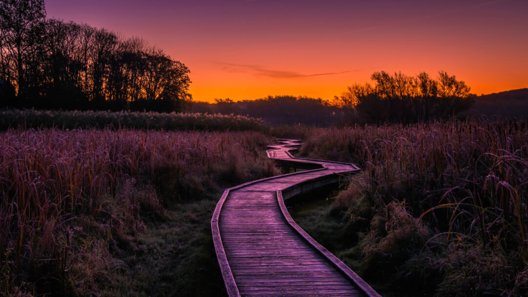 A breathtaking 4K wallpaper showcasing the winding 'Stairway to Heaven Trail Boardwalk' through the serene wetlands of Wawayanda State Park at dawn. The dramatic purple sunrise bathes the boardwalk and frosted marsh grasses in luminous hues, creating a tranquil, dreamlike path towards the horizon.