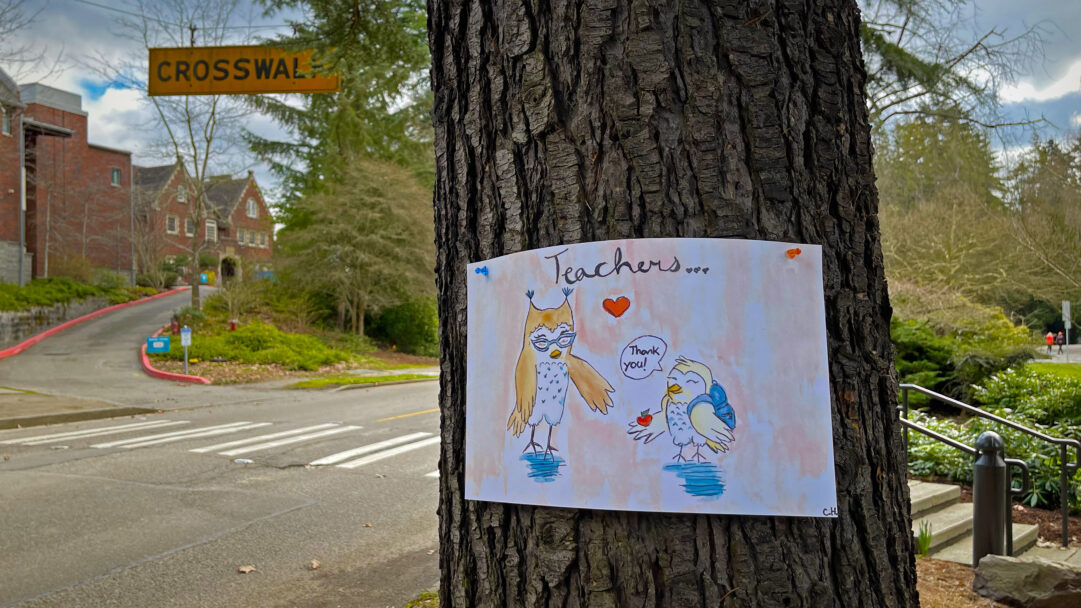 A heartwarming 4K wallpaper showcasing a 'Teacher Appreciation Week' owl drawing pinned to a tree trunk, set against a blurry urban background featuring a crosswalk and brick buildings. The charming drawing depicts a wise-looking owl wearing glasses and a smaller owl presenting an apple while saying Thank you!, conveying a warm message of gratitude amidst the natural textures of the tree bark.
