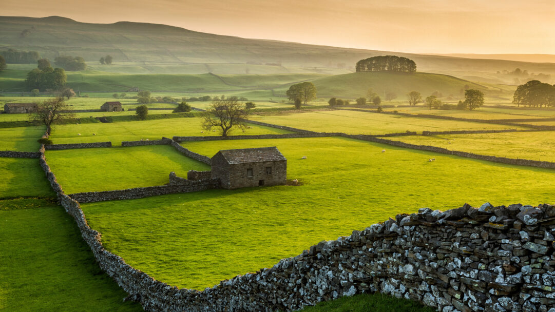 An idyllic 4K wallpaper capturing a solitary stone barn nestled amidst the expansive green fields and dry stone walls of Wensleydale in the Yorkshire Dales National Park. The soft, golden light of dawn illuminates the vibrant green pastures and ancient dry stone walls, highlighting the peaceful rural charm of this timeless landscape.