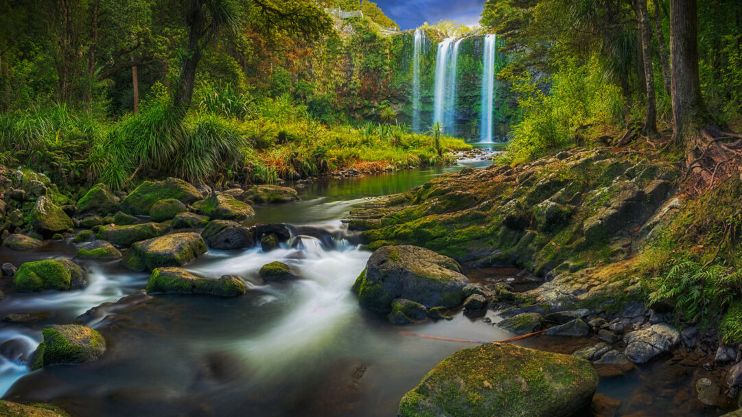 A majestic 4K wallpaper capturing Whangārei Falls in North Island, New Zealand, where the wide, multi-tiered waterfall cascades into a tranquil river winding through a lush, dense forest landscape. The long exposure beautifully softens the falling water into silky white streaks, dramatically contrasting with the vibrant green moss covering the river rocks and the rich, sun-dappled foliage.
