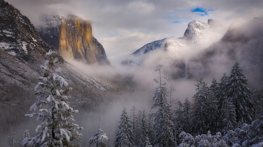 A breathtaking 4K wallpaper reveals Yosemite National Park in the midst of a clearing winter snowstorm, with the majestic El Capitan rock formation partially unveiled through dense fog. Golden light dramatically illuminates El Capitan's sheer face, standing tall amidst snow-covered evergreen trees and wisps of mist, conveying a powerful sense of an unfolding, serene landscape.