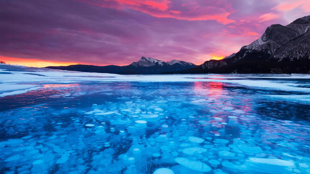 An enchanting 4K wallpaper capturing Alberta's Abraham Lake, where countless methane ice bubbles are trapped beneath its strikingly clear, frozen surface. The vibrant sunset paints the sky in dramatic pinks and purples, reflecting off the blue ice and casting a warm glow over the distant snowy mountains.