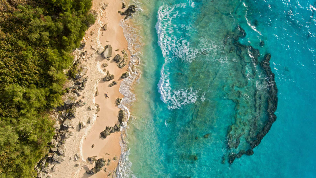 An immersive 4K wallpaper showcasing an aerial view of Marley Beach in Bermuda, where a golden sandy shore, fringed by lush green trees, meets dazzling turquoise waters. The vivid clarity of the ocean reveals intricate submerged rock formations and gentle waves breaking softly along the shore, enhancing the tranquil tropical mood.