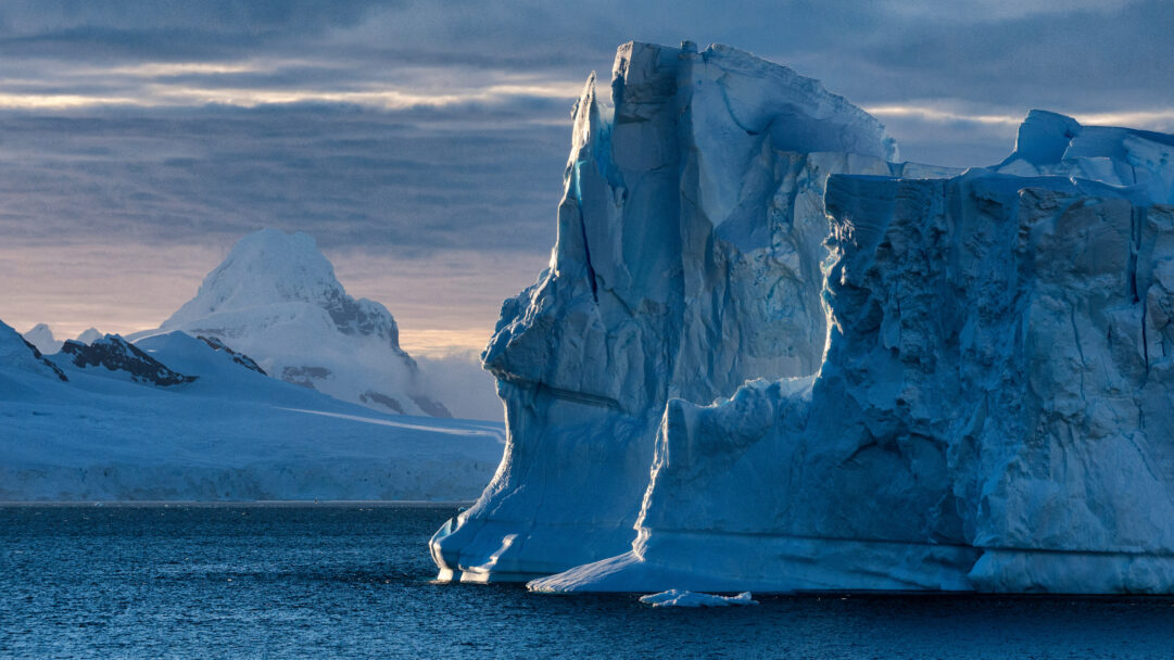 A majestic 4K wallpaper capturing colossal blue icebergs floating in dark Antarctic waters near the snow-capped Cuverville Island. Golden sunlight strikingly illuminates the jagged, textured surfaces of the icebergs, casting a serene yet powerful glow against the deep blue water and cloudy sky.