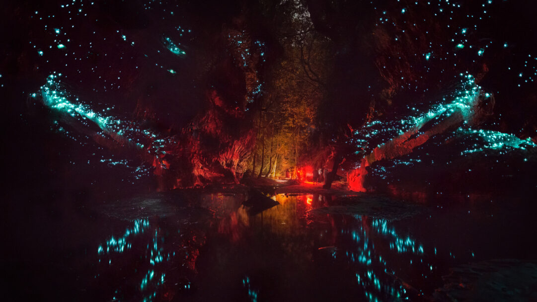 A breathtaking 4K wallpaper of a majestic cave in Blue Mountains National Park, illuminated by countless glowing blue-green glowworms. The vibrant bioluminescence creates a starry effect on the dark rock walls, mirroring brilliantly in the still water below, while warm red and orange lights from a hidden source add an ethereal glow to the cavern's depths.