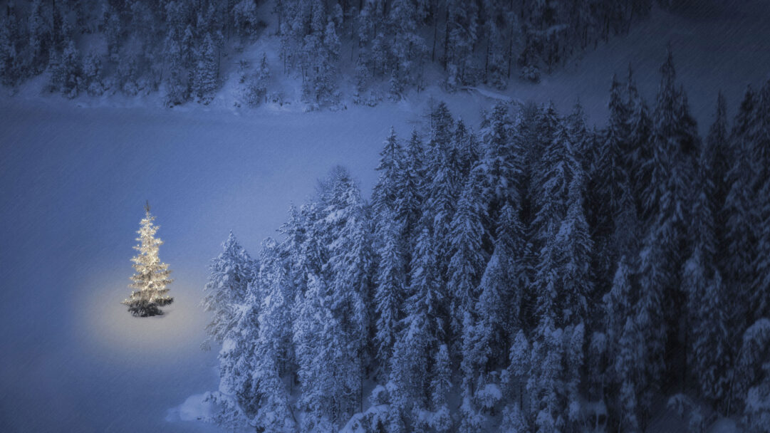 An enchanting 4K wallpaper displaying an illuminated Christmas tree on snowy Weissensee Lake in Ehrwald, Tyrol. Its warm, golden glow stands out dramatically against the deep blue of the surrounding snow-covered forest and frozen lake, creating a serene and captivating winter scene.
