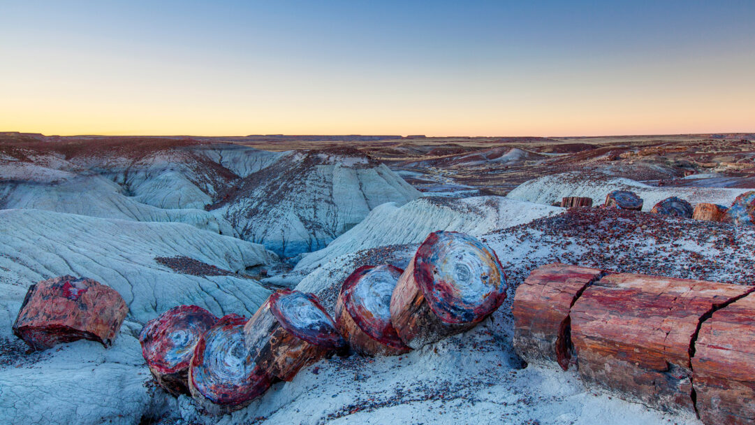 A breathtaking 4K wallpaper capturing a sunset over Petrified Forest National Park in Arizona, featuring large, fractured petrified wood logs resting on the pale, sculpted badlands. The rich, mineral-infused colors of the ancient wood glow against the subtly textured landscape, under a serene sky fading from warm gold to soft blue.