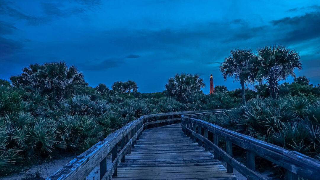An enchanting 4K wallpaper presenting the Ponce de Leon Inlet Lighthouse Boardwalk winding through dense coastal foliage at twilight. The deep blue twilight sky and the warm glow from the distant lighthouse create a serene yet mysterious atmosphere amidst the dark, lush vegetation.