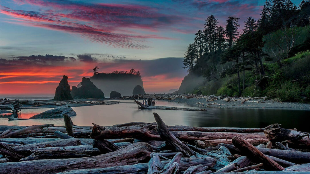 A captivating 4K wallpaper of Ruby Beach in Olympic National Park, presenting a dramatic sunset over its iconic sea stacks and rugged coastline. The sky, ablaze with fiery reds and deep purples, reflects on the tranquil water, casting a warm glow over the multitude of weathered driftwood logs scattered across the foreground.