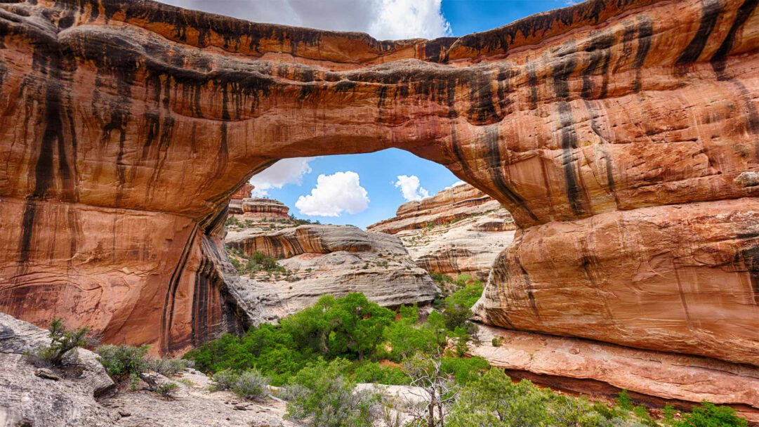 An immersive 4K wallpaper showcasing the massive Sipapu Bridge, a natural rock arch spanning a lush canyon floor within Natural Bridges National Monument, Utah. The warm orange and red sandstone of the bridge, streaked with dark mineral deposits, frames a brilliant blue sky and distant lighter rock formations, creating a majestic scene of natural grandeur.